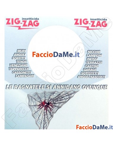Insetticida Zig Zag Magnatela Ebano Elimina Ragni e Ragnatele 600ml 3 Pezzi